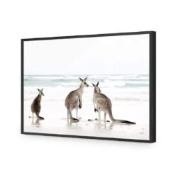 Roo Holiday 15 Roo Holiday -WALL ART DESGIN SALE roo holiday acrylic glass no border black frame 45x30cm 854561