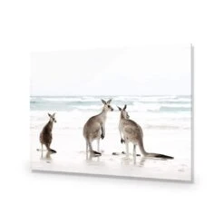 Roo Holiday 14 Roo Holiday -WALL ART DESGIN SALE roo holiday acrylic glass no border no frame 45x30cm 203434