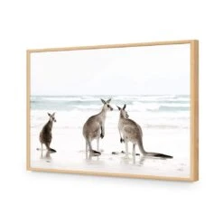 Roo Holiday 17 Roo Holiday -WALL ART DESGIN SALE roo holiday acrylic glass no border oak frame 45x30cm 231271
