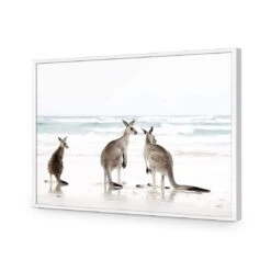 Roo Holiday 16 Roo Holiday -WALL ART DESGIN SALE roo holiday acrylic glass no border white frame 45x30cm 859773