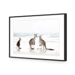 Roo Holiday 10 Roo Holiday -WALL ART DESGIN SALE roo holiday acrylic glass with border black frame 45x30cm 871248