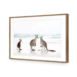 Roo Holiday 13 Roo Holiday -WALL ART DESGIN SALE roo holiday acrylic glass with border natural frame 45x30cm 832621