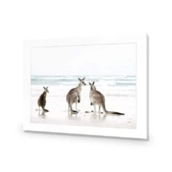 Roo Holiday 9 Roo Holiday -WALL ART DESGIN SALE roo holiday acrylic glass with border no frame 45x30cm 482843
