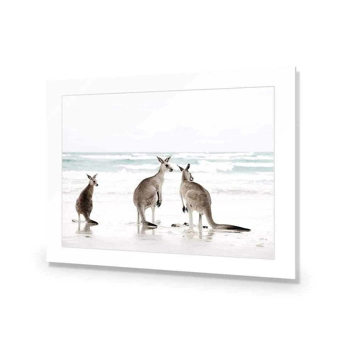 Roo Holiday Roo Holiday -WALL ART DESGIN SALE roo holiday acrylic glass with border no frame 45x30cm 482843