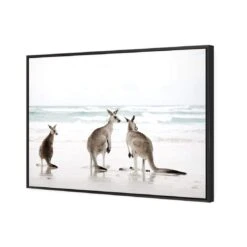 Roo Holiday 4 Roo Holiday -WALL ART DESGIN SALE roo holiday canvas black floating frame 45x30cm 210469