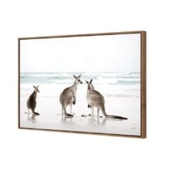 Roo Holiday 7 Roo Holiday -WALL ART DESGIN SALE roo holiday canvas natural floating frame 45x30cm 101034