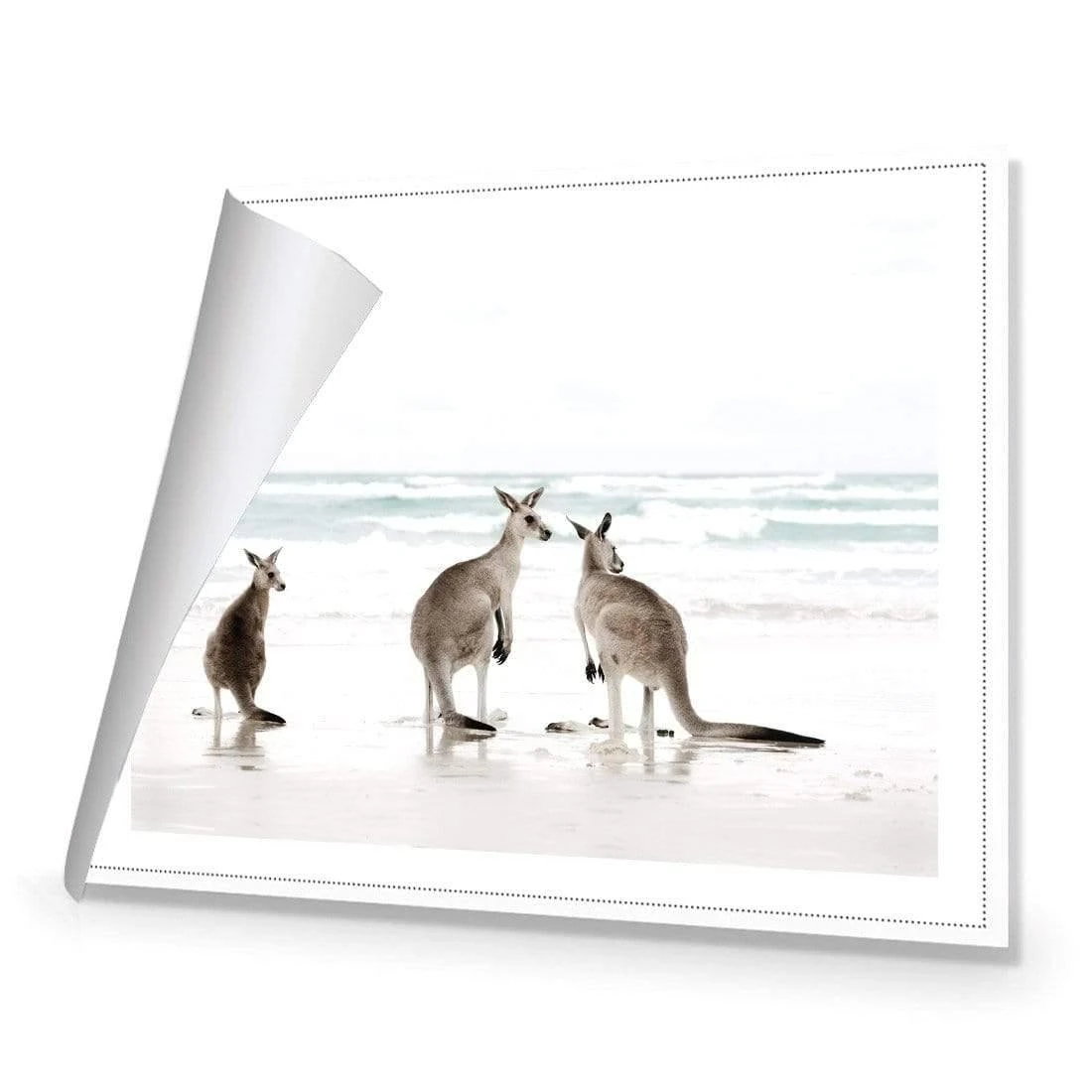 Roo Holiday Roo Holiday -WALL ART DESGIN SALE roo holiday canvas rolled canvas 45x30cm 617743