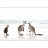 Roo Holiday -WALL ART DESGIN SALE roo holiday canvas stretched canvas 45x30cm 187786
