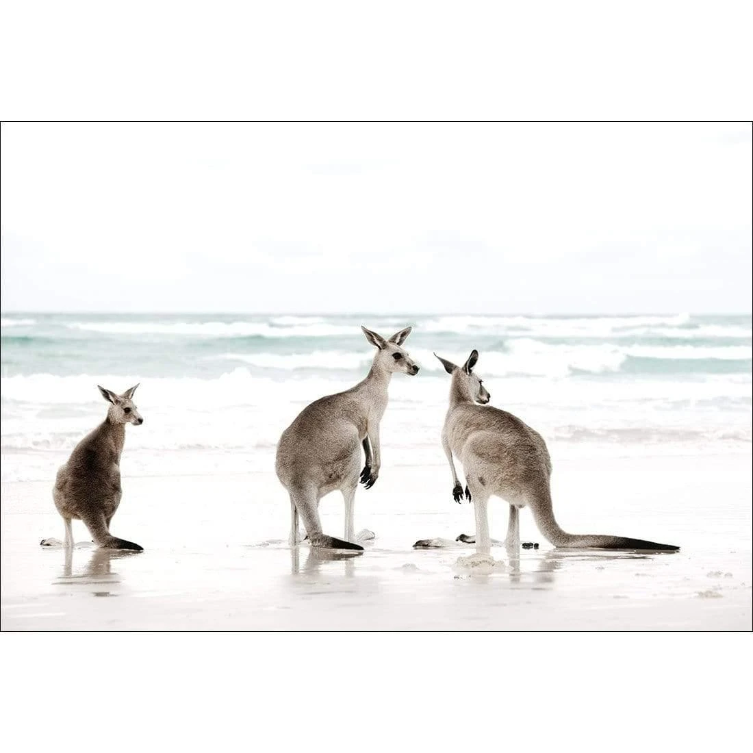 Roo Holiday Roo Holiday -WALL ART DESGIN SALE roo holiday canvas stretched canvas 45x30cm 187786