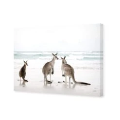 Roo Holiday 3 Roo Holiday -WALL ART DESGIN SALE roo holiday canvas stretched canvas 45x30cm 965928
