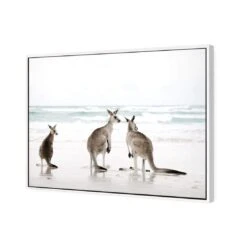 Roo Holiday 5 Roo Holiday -WALL ART DESGIN SALE roo holiday canvas white floating frame 45x30cm 514680