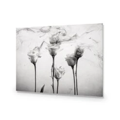 Rose Smoke 15 Rose Smoke -WALL ART DESGIN SALE rose smoke acrylic glass no border no frame 45x30cm 388528