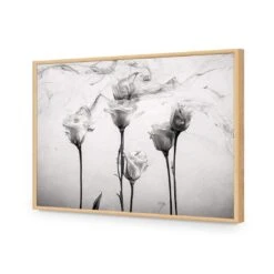 Rose Smoke 18 Rose Smoke -WALL ART DESGIN SALE rose smoke acrylic glass no border oak frame 45x30cm 864551