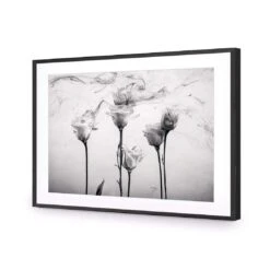 Rose Smoke 11 Rose Smoke -WALL ART DESGIN SALE rose smoke acrylic glass with border black frame 45x30cm 577116
