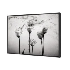 Rose Smoke 5 Rose Smoke -WALL ART DESGIN SALE rose smoke canvas black floating frame 45x30cm 656552
