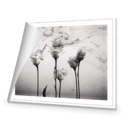 Rose Smoke 9 Rose Smoke -WALL ART DESGIN SALE rose smoke canvas rolled canvas 45x30cm 746667