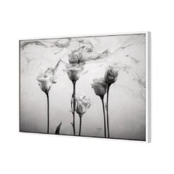 Rose Smoke 6 Rose Smoke -WALL ART DESGIN SALE rose smoke canvas white floating frame 45x30cm 724434