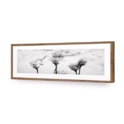 Rose Smoke (Long) -WALL ART DESGIN SALE rose smoke long acrylic glass with border natural frame 90x30cm 660172