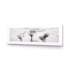 Rose Smoke (Long) -WALL ART DESGIN SALE rose smoke long acrylic glass with border no frame 90x30cm 210361