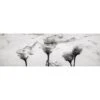Rose Smoke (Long) 1 Rose Smoke (Long) -WALL ART DESGIN SALE rose smoke long canvas stretched canvas 60x20cm 766981