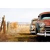 Rusty Cars -WALL ART DESGIN SALE rusty cars canvas stretched canvas 45x30cm 402100