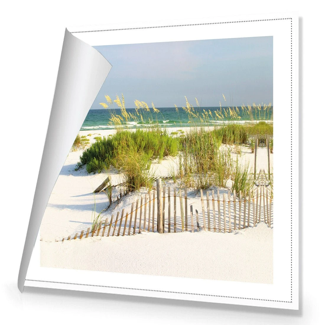 Sand Dune Reflections (Square) Sand Dune Reflections (Square) -WALL ART DESGIN SALE sand dune reflections square canvas rolled canvas 37x37cm 522120