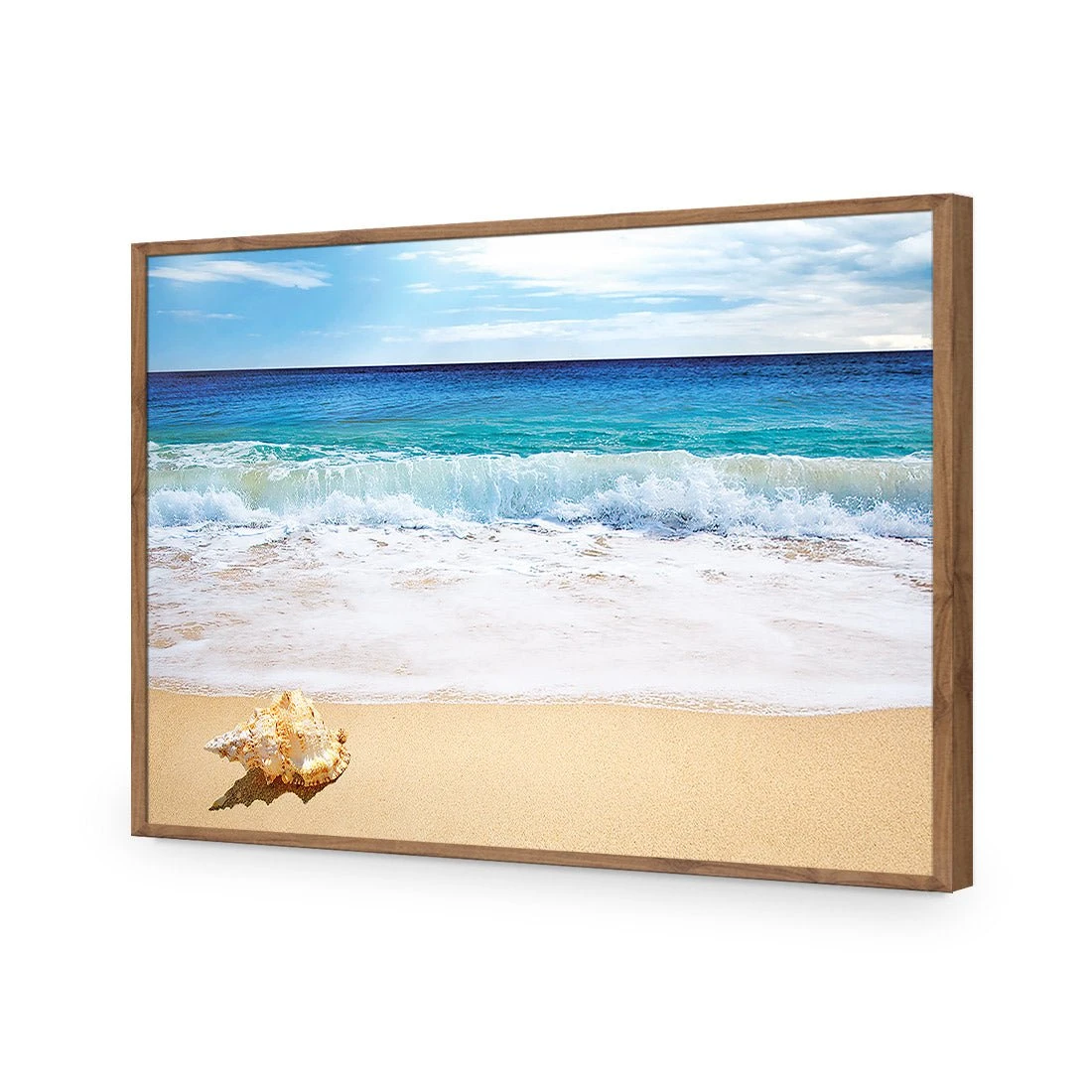 Shell on Beach Shell On Beach -WALL ART DESGIN SALE shell on beach acrylic glass no border natural frame 45x30cm 438252
