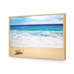 Shell On Beach 17 Shell On Beach -WALL ART DESGIN SALE shell on beach acrylic glass no border oak frame 45x30cm 658237
