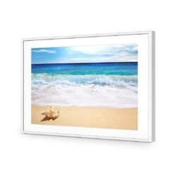 Shell On Beach 11 Shell On Beach -WALL ART DESGIN SALE shell on beach acrylic glass with border white frame 45x30cm 471653
