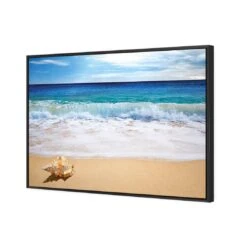 Shell On Beach 4 Shell On Beach -WALL ART DESGIN SALE shell on beach canvas black floating frame 45x30cm 961187