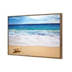 Shell On Beach 7 Shell On Beach -WALL ART DESGIN SALE shell on beach canvas natural floating frame 45x30cm 545243