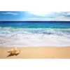 Shell On Beach -WALL ART DESGIN SALE shell on beach canvas stretched canvas 45x30cm 346382