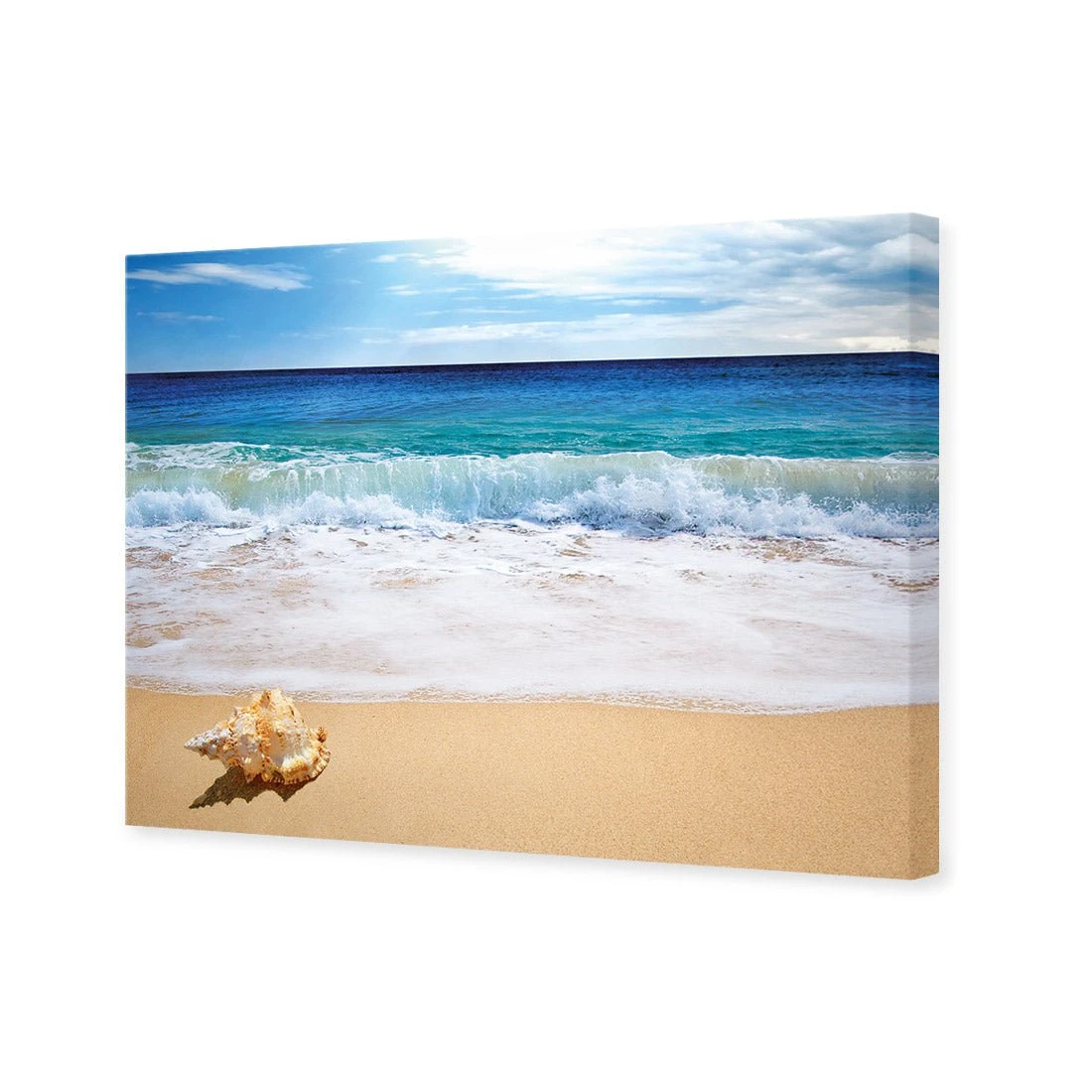 Shell on Beach Shell On Beach -WALL ART DESGIN SALE shell on beach canvas stretched canvas 45x30cm 977380