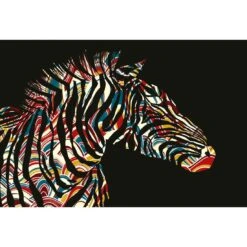 Silhouette Zebra