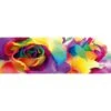 Silk Roses (long) -WALL ART DESGIN SALE silk roses long canvas stretched canvas 60x20cm 545915