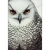 Snow Owl 1 Snow Owl -WALL ART DESGIN SALE snow owl canvas stretched canvas 45x30cm 435635