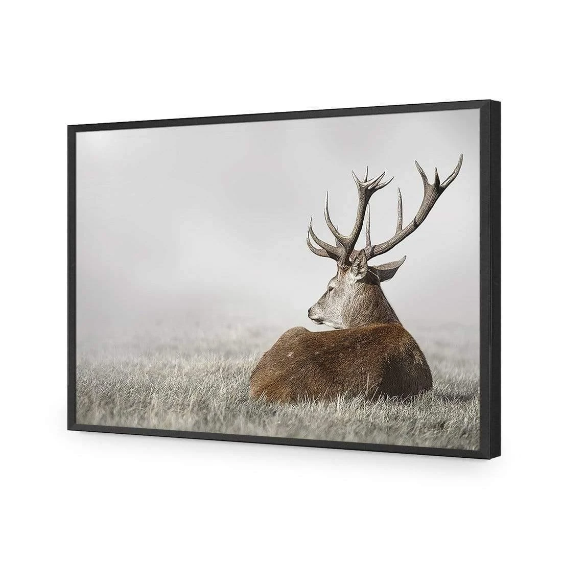 Stag in Lightness Stag In Lightness -WALL ART DESGIN SALE stag in lightness acrylic glass no border black frame 45x30cm 891539