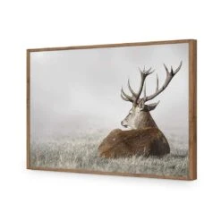 Stag In Lightness 18 Stag In Lightness -WALL ART DESGIN SALE stag in lightness acrylic glass no border natural frame 45x30cm 482774