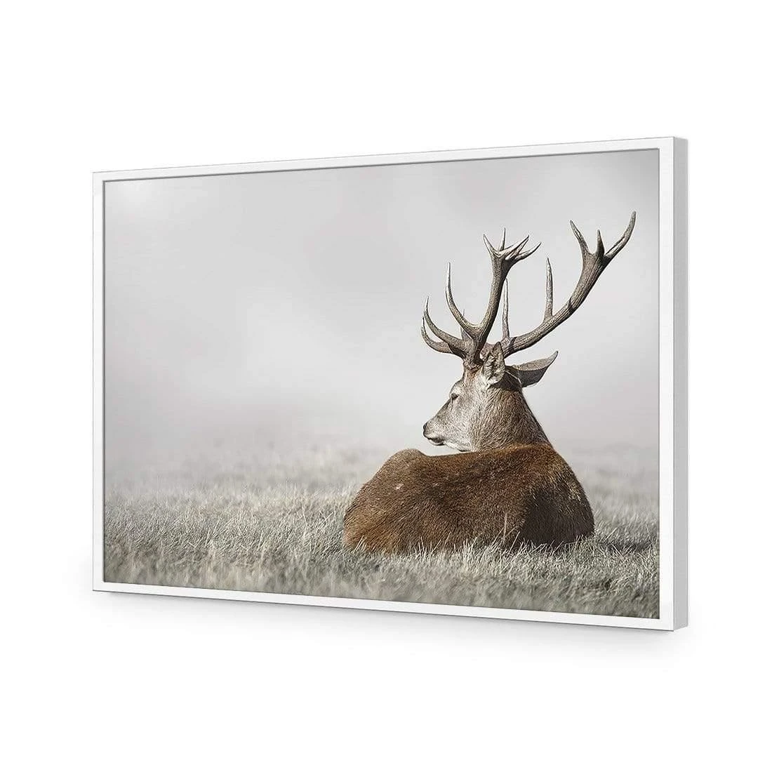 Stag in Lightness Stag In Lightness -WALL ART DESGIN SALE stag in lightness acrylic glass no border white frame 45x30cm 144689