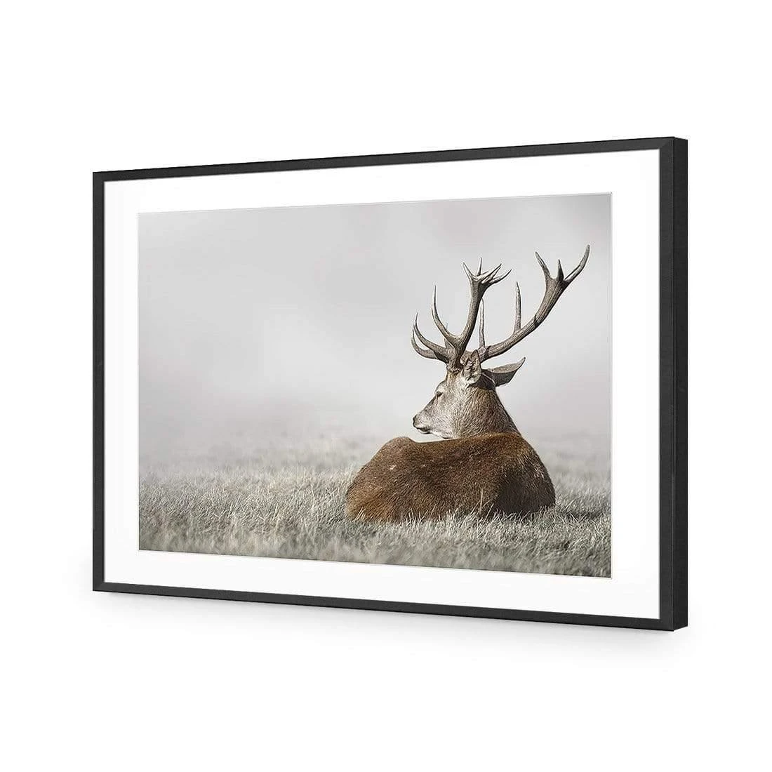 Stag in Lightness Stag In Lightness -WALL ART DESGIN SALE stag in lightness acrylic glass with border black frame 45x30cm 426646