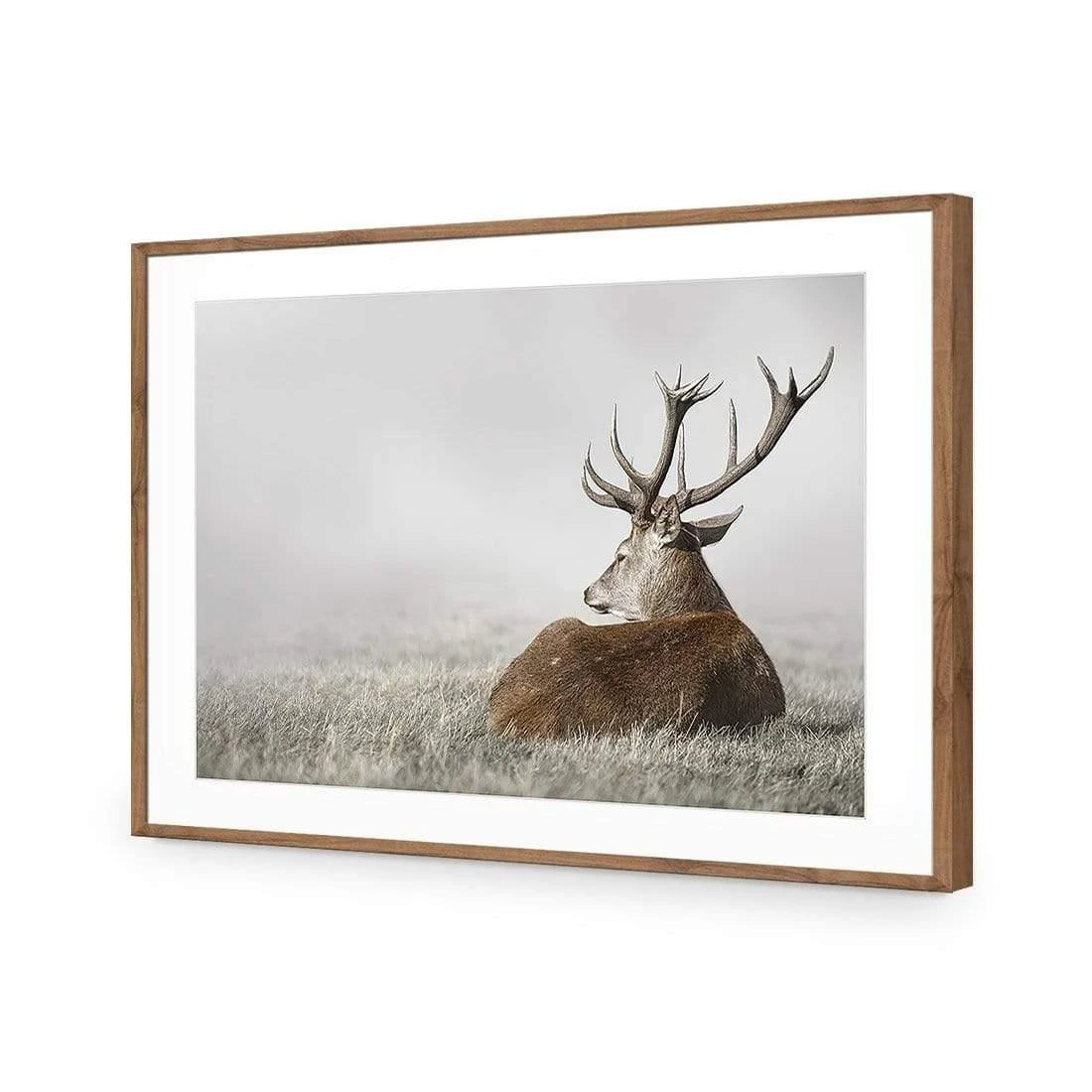 Stag in Lightness Stag In Lightness -WALL ART DESGIN SALE stag in lightness acrylic glass with border natural frame 45x30cm 601138