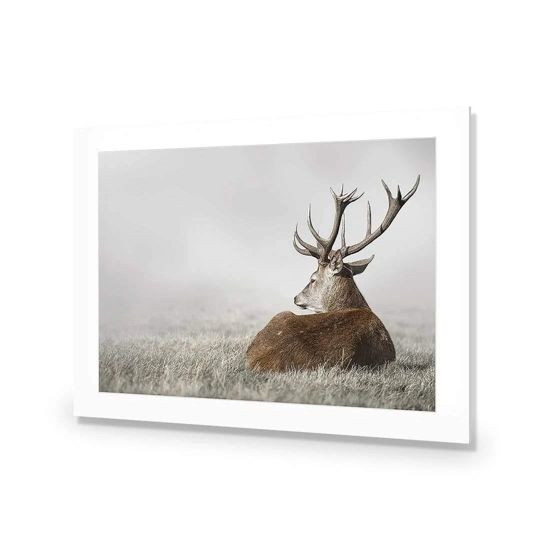 Stag in Lightness Stag In Lightness -WALL ART DESGIN SALE stag in lightness acrylic glass with border no frame 45x30cm 582200