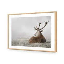 Stag In Lightness 12 Stag In Lightness -WALL ART DESGIN SALE stag in lightness acrylic glass with border oak frame 45x30cm 776421