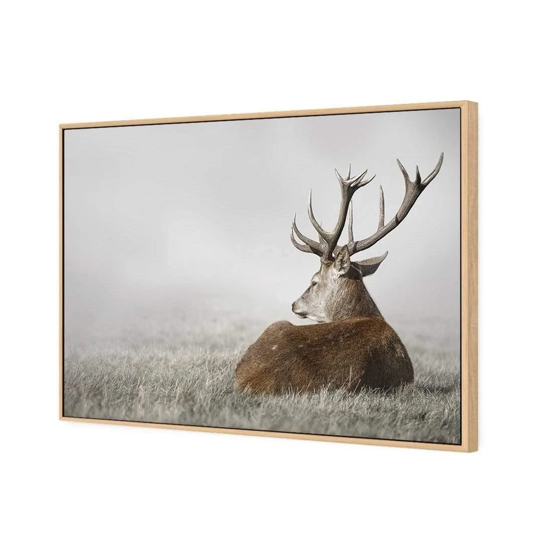 Stag in Lightness Stag In Lightness -WALL ART DESGIN SALE stag in lightness canvas oak floating frame 45x30cm 296349