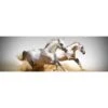 Stallions In The Dust (long) -WALL ART DESGIN SALE stallions in the dust long canvas stretched canvas 60x20cm 647423