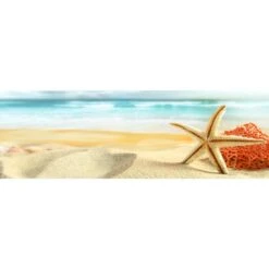 Starfish And Coral On Beach (Long)