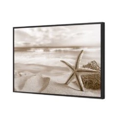 Starfish And Coral On Beach, Sepia -WALL ART DESGIN SALE starfish and coral on beach sepia canvas black floating frame 45x30cm 941644