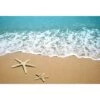 Starfish Beach (rectangle) 1 Starfish Beach (rectangle) -WALL ART DESGIN SALE starfish beach rectangle canvas stretched canvas 45x30cm 248259