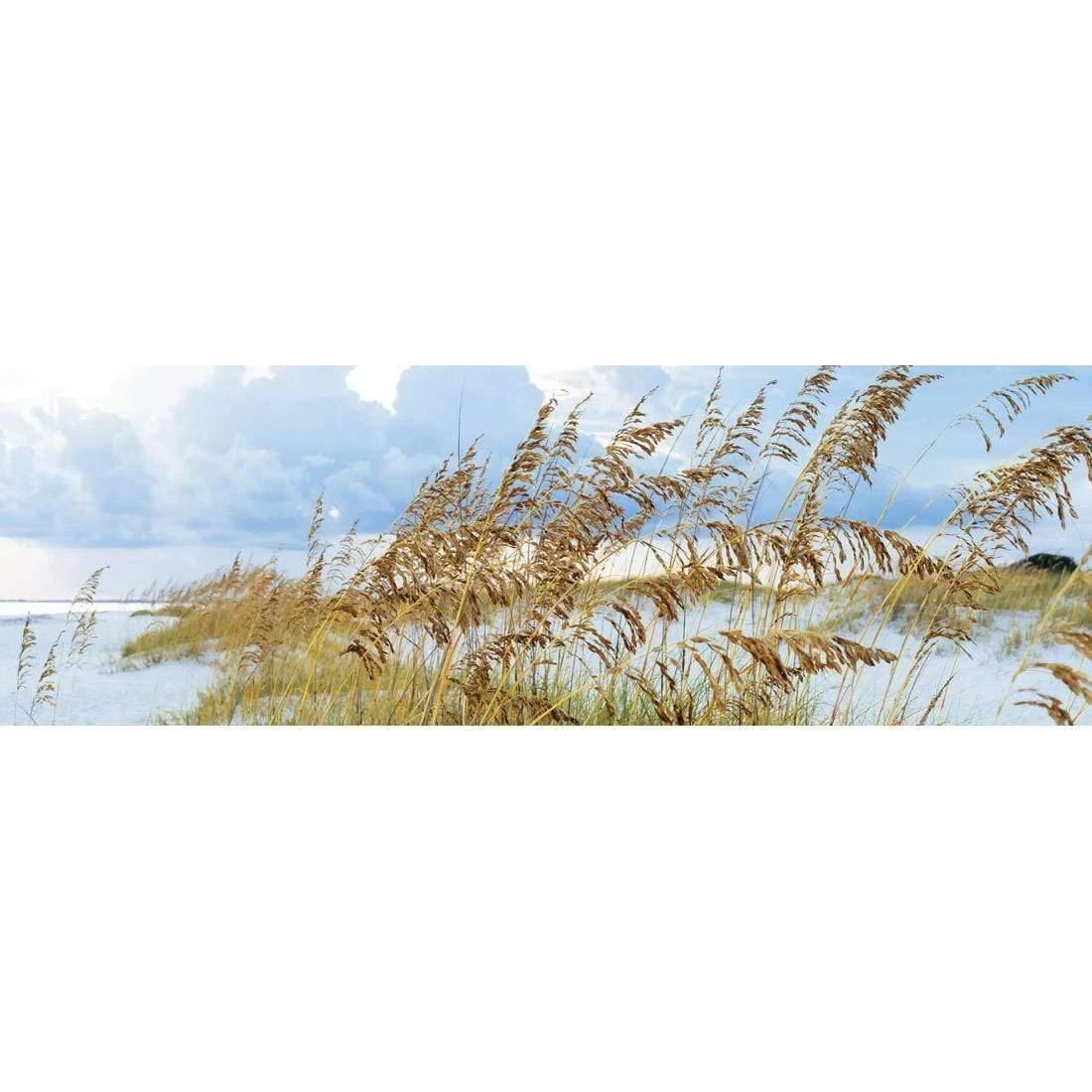 Summer Grass (Long) Summer Grass (Long) -WALL ART DESGIN SALE summer grass long canvas stretched canvas 60x20cm 157757