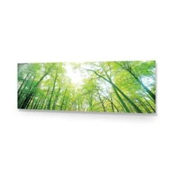 Sun Through Trees (Long) -WALL ART DESGIN SALE sun through trees long acrylic glass no border no frame 90x30cm 933225